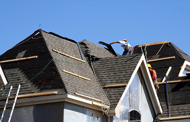 Best Roof Gutter Cleaning  in South Bend, IN